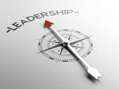 liderlik kavramı