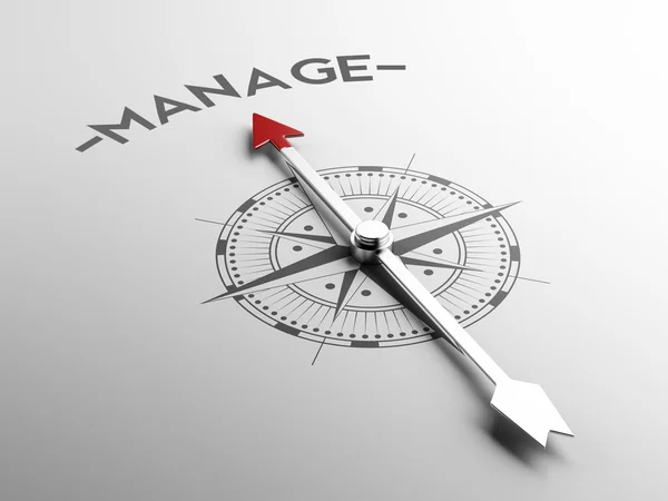 Manage Concept — Stock Photo, Image
