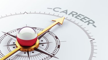 Polonya kariyer kavramı