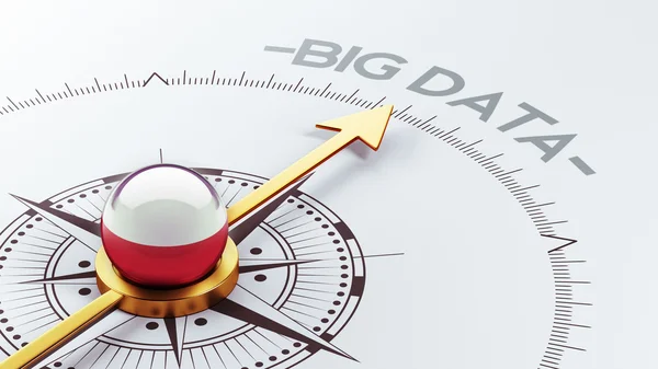 Polonia Big Data Concept — Foto Stock
