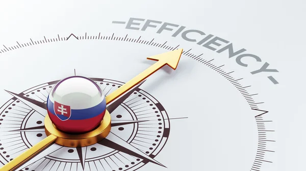 Conceito de eficiência da Eslováquia — Fotografia de Stock