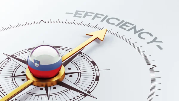 Slovenia Efficiency Concept — Stock Photo, Image