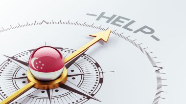 Singapur yardım kavramı