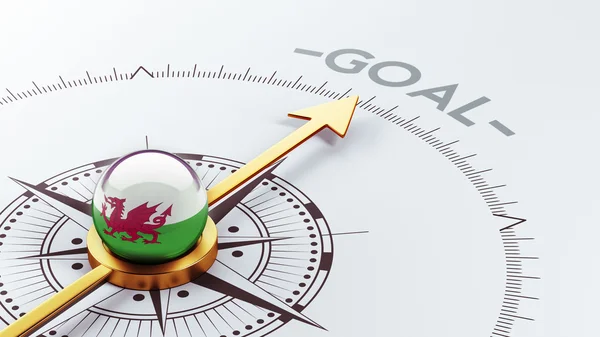 Wales Goal Concept — Stock Photo, Image