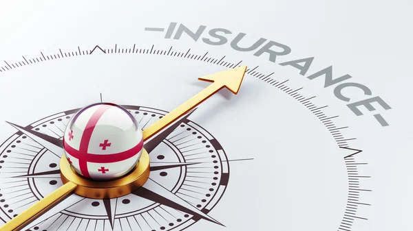 Georgia Insurance Concept — Stock Photo, Image