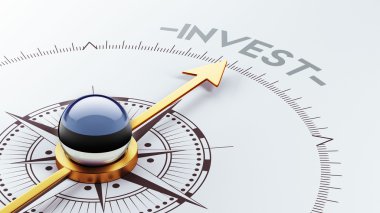 Estonya yatırım Concep