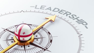 Gürcistan liderlik kavramı