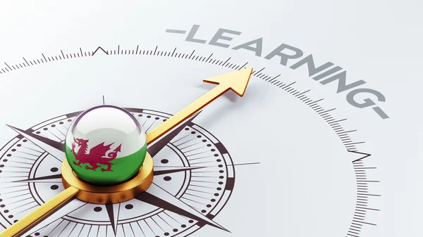 Wales Learning Concept — Stock Photo, Image