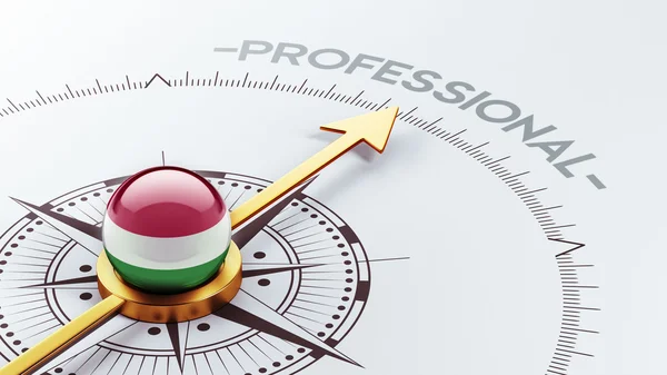 Hungary Professional Concept — Stock Photo, Image