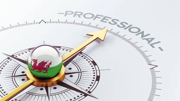 Wales professionelles konzept — Stockfoto