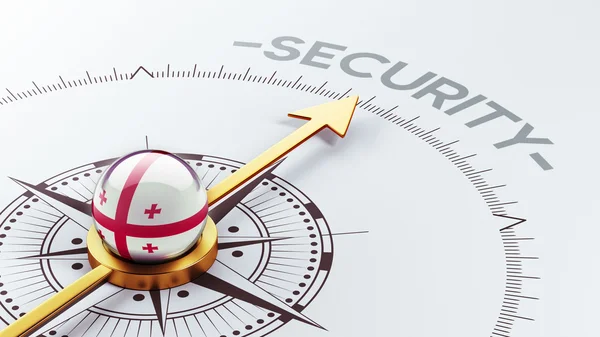 Georgia Security Concept — Stock Photo, Image