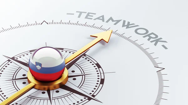 Slovenia Teamwork Concept — Stock Photo, Image
