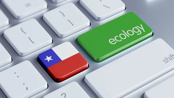 Chili Concept écologique — Photo