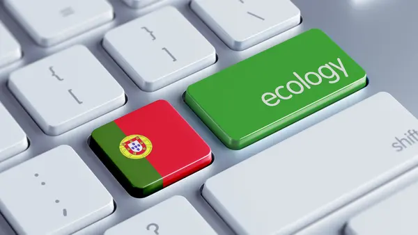 Portekiz ekoloji kavramı — Stok fotoğraf
