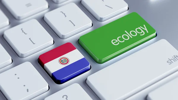 Paraguay Ecology Concept — Stock Photo, Image