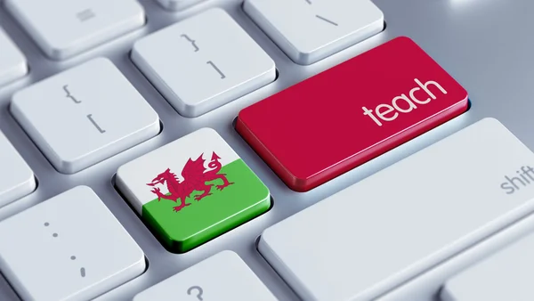Wales tanítani koncepció — Stock Fotó
