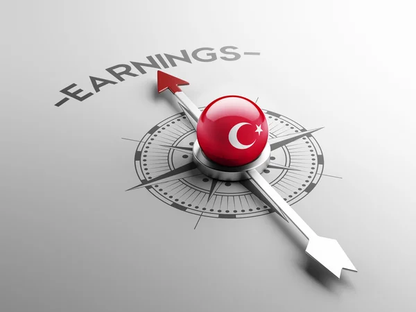 Turkey Earnings Concept — Stock Photo, Image