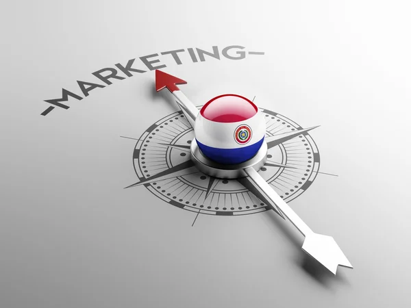 Concetto di Marketing Paraguay — Foto Stock