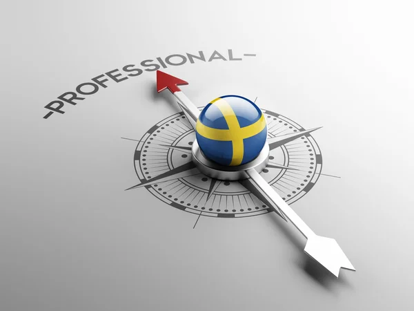 Sweden Professional Concept — Stock Photo, Image