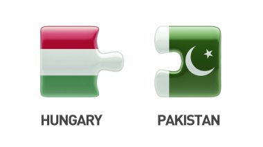 Pakistan Macaristan bulmaca kavramı