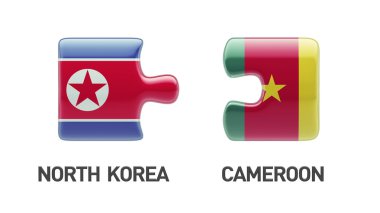 Ülke bulmaca kavramı