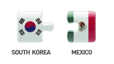 Ülke bulmaca kavramı