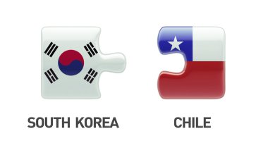 Ülke bulmaca kavramı