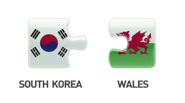 Ülke bulmaca kavramı