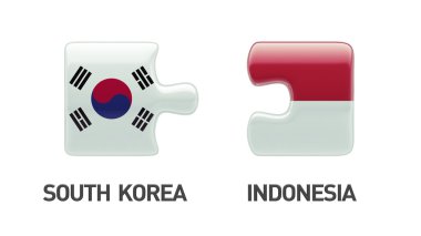 Ülke bulmaca kavramı