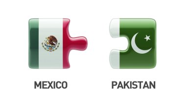 Pakistan Meksika bulmaca kavramı