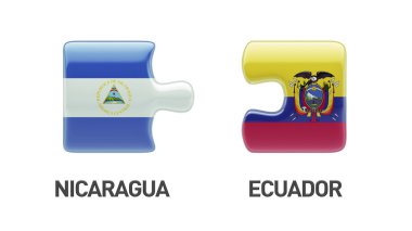 Ülke bulmaca kavramı