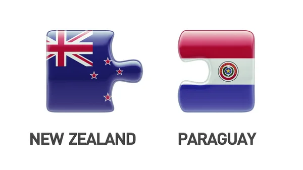 巴拉圭新西兰拼图概念 — 图库照片