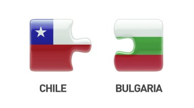 Bulgaristan Şili bulmaca kavramı
