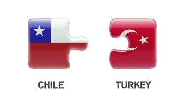 Türkiye Şili bulmaca kavramı