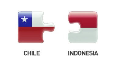 Endonezya Şili bulmaca kavramı