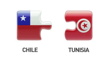 Tunus Şili bulmaca kavramı