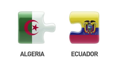 Ülke bulmaca kavramı