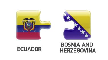 Ülke bulmaca kavramı