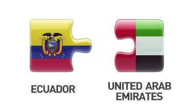 Ülke bulmaca kavramı