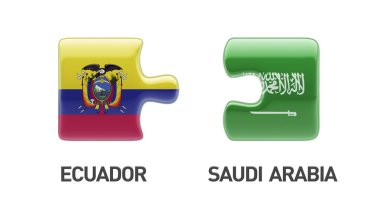 Ülke bulmaca kavramı