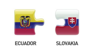 Ülke bulmaca kavramı