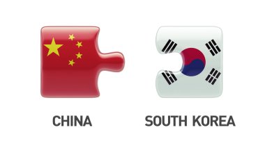 Ülke bulmaca kavramı