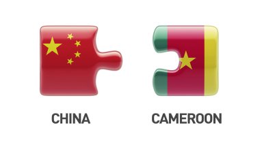 Ülke bulmaca kavramı