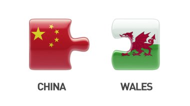 Galler Çin Puzzle kavramı