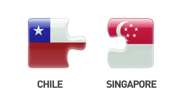 Singapore Chili puzzel Concept — Stockfoto