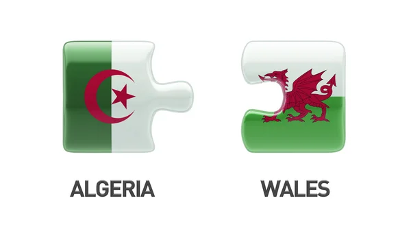 Wales Algerije puzzel Concept — Stockfoto