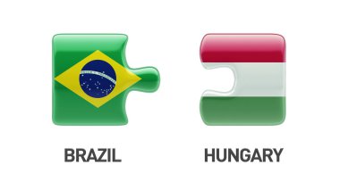 Brezilya Macaristan bulmaca kavramı