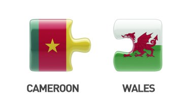 Ülke bulmaca kavramı