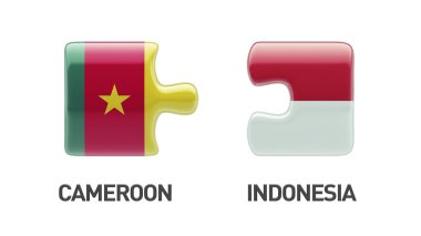 Ülke bulmaca kavramı