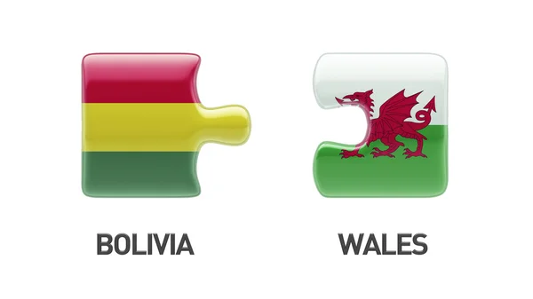 Pays de Galles Bolivie Puzzle Concept — Photo